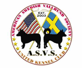 asvs logo