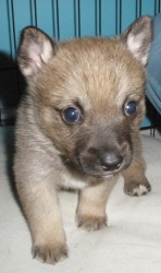 winnie