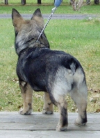 stanley rear