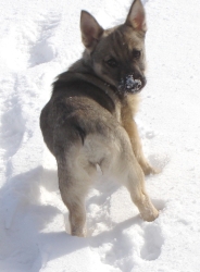 winni february 10